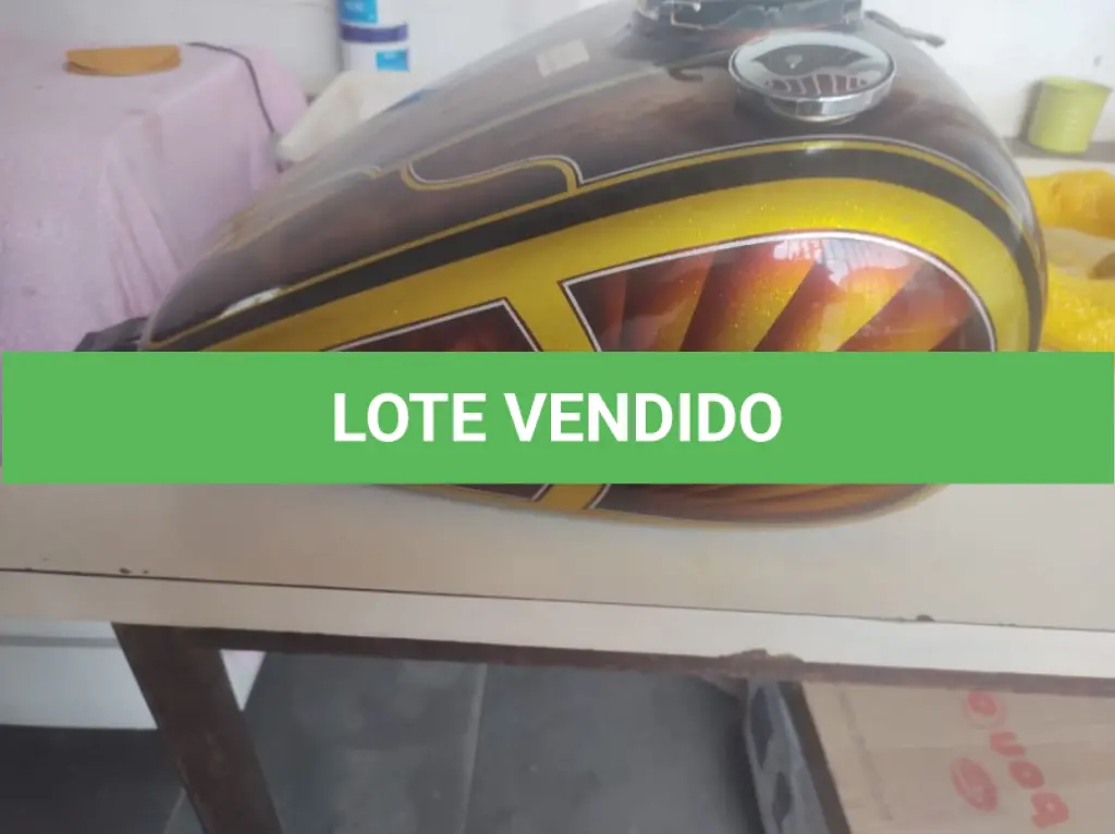 LOTE 392
