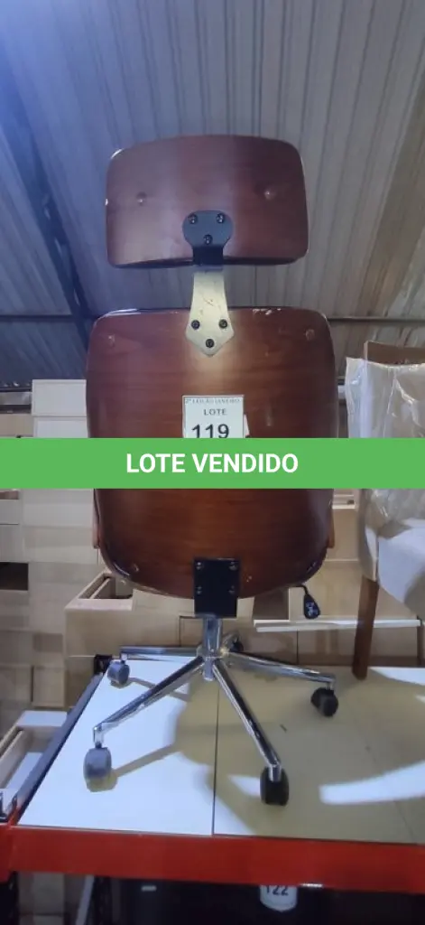 LOTE 119