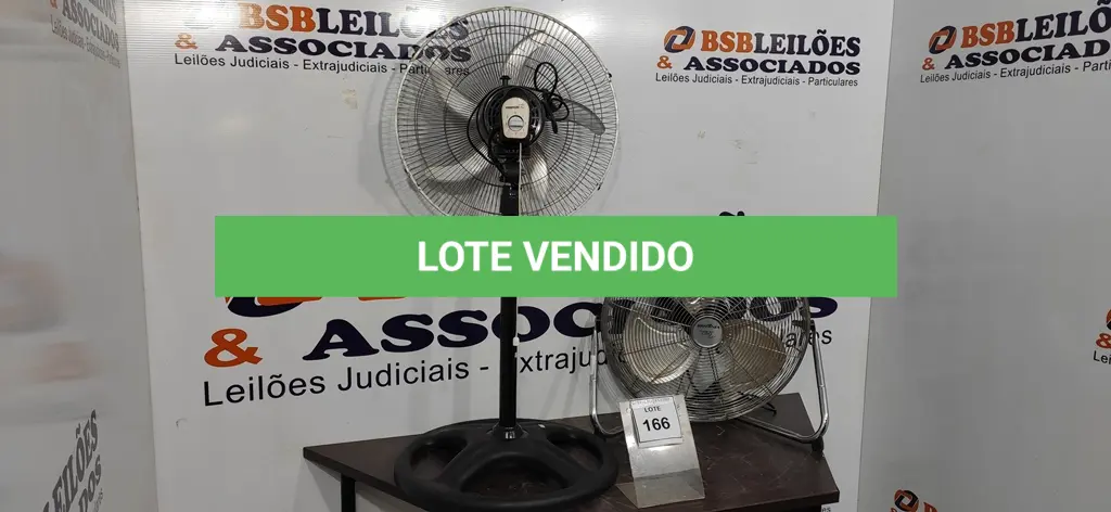 LOTE 166