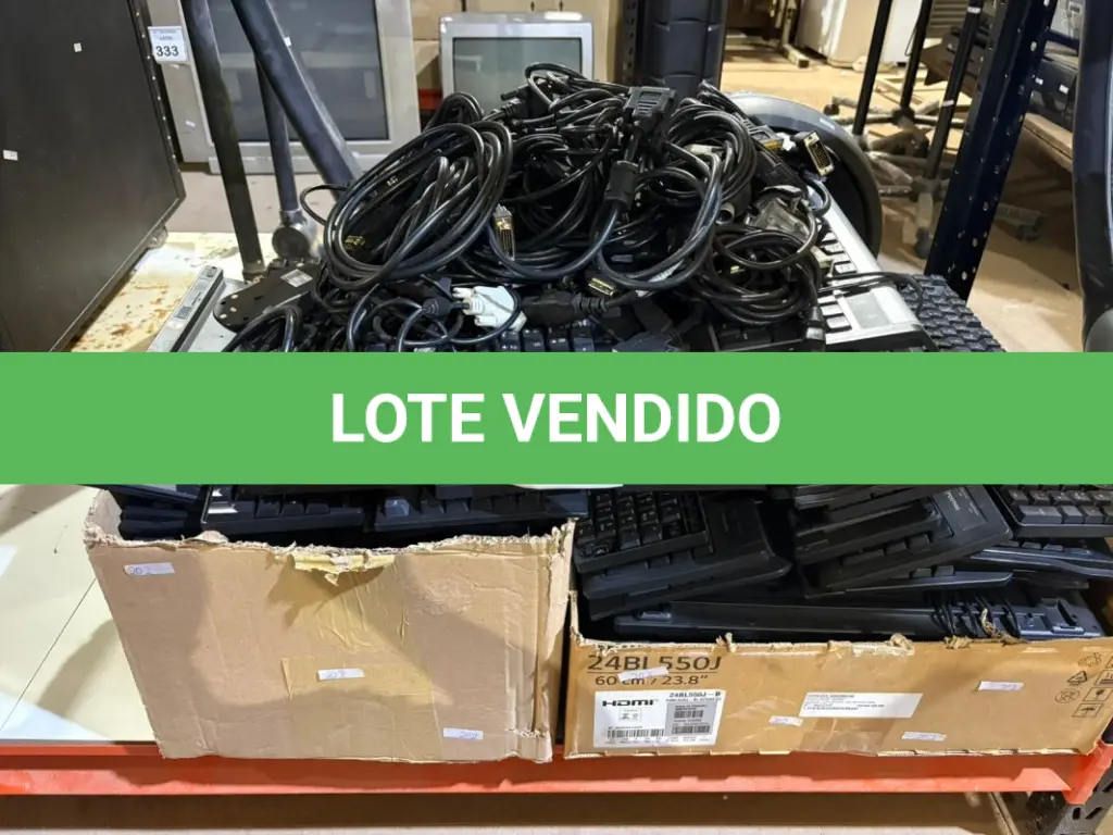 LOTE 391