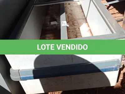 LOTE 523 - 01 ILHA PARA CONGELADOS COM AVARIAS. (NO ESTADO, LEILÃO NÃO TEM GARANTIA E NEM DEVOLUÇÃO, SUJEITO A POSSÍVEIS AVARIAS VISÍVEIS/OCULTAS E/OU AUSÊNCIA DE COMPONENTES).