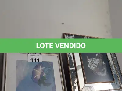 LOTE 111 - 02 QUADROS DECORATIVOS (NO ESTADO, NÃO SABEMOS SE FUNCIONA. LEILÃO NÃO TEM GARANTIA E NEM DEVOLUÇÃO).