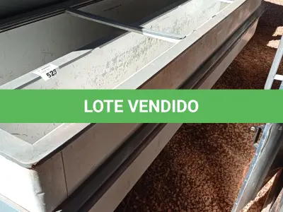 LOTE 523 - 01 ILHA PARA CONGELADOS COM AVARIAS. (NO ESTADO, LEILÃO NÃO TEM GARANTIA E NEM DEVOLUÇÃO, SUJEITO A POSSÍVEIS AVARIAS VISÍVEIS/OCULTAS E/OU AUSÊNCIA DE COMPONENTES).