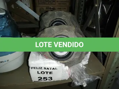 LOTE 253 - 2 LUMINÁRIA DE JARDIM (NO ESTADO SEM GARANTIA DE FUNCIONAMENTO, SUJEITO A POSSÍVEIS AVARIAS VISÍVEIS/OCULTAS E/OU AUSÊNCIA DE COMPONENTES)