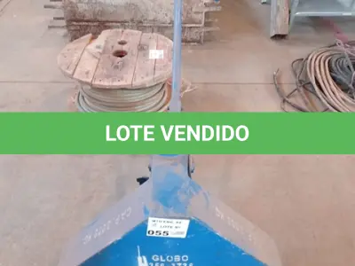 LOTE 055 - 01-PALETEIRA 2 TONELADAS (NO ESTADO)