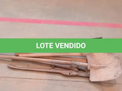 LOTE 060 - 01-KIT FERRAMENTA 02-PICARETAS, 01-ENCHADA, 01-CAVADOR, 01-ALICATE GRANDE (NO ESTADO)