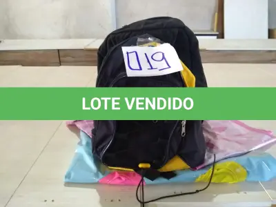 LOTE 019 - 02 (DUAS) CAPAS PROTETORAS PARA TERNO, ESTOJOS, NECESSAIRES, 02 (DUAS) MOCHILAS PEQUENAS, 02 (DUAS) INFLÁVEIS PARA PISCINA E SACOLAS. (NO ESTADO).