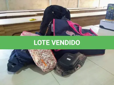 LOTE 019 - 02 (DUAS) CAPAS PROTETORAS PARA TERNO, ESTOJOS, NECESSAIRES, 02 (DUAS) MOCHILAS PEQUENAS, 02 (DUAS) INFLÁVEIS PARA PISCINA E SACOLAS. (NO ESTADO).