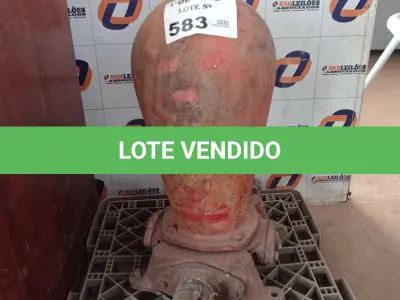 LOTE 583 - 01 CARNEIRO HIDRÁULICO MARUMBI Nº5(NO ESTADO, LEILÃO NÃO TEM GARANTIA E NEM DEVOLUÇÃO, SUJEITO A POSSÍVEIS AVARIAS VISÍVEIS/OCULTAS E/OU AUSÊNCIA DE COMPONENTES).