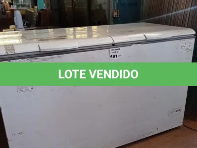 LOTE 591 - 01 FREEZER HORIZONTAL COM 02 TAMPAS. (NO ESTADO, LEILÃO NÃO TEM GARANTIA E NEM DEVOLUÇÃO, SUJEITO A POSSÍVEIS AVARIAS VISÍVEIS/OCULTAS E/OU AUSÊNCIA DE COMPONENTES).