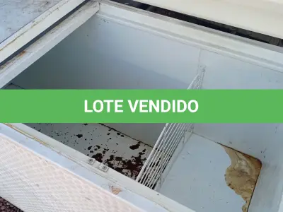 LOTE 518 - 01 FREEZER HORIZONTAL COM 02 TAMPAS 220V. (NO ESTADO, LEILÃO NÃO TEM GARANTIA E NEM DEVOLUÇÃO, SUJEITO A POSSÍVEIS AVARIAS VISÍVEIS/OCULTAS E/OU AUSÊNCIA DE COMPONENTES).