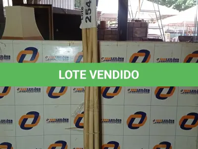 LOTE 254 - 05 - VASSOURAS PLASTICAS (NO ESTADO, NÃO SABEMOS SE FUNCIONA. LEILÃO NÃO TEM GARANTIA E NEM DEVOLUÇÃO, SUJEITO A POSSÍVEIS AVARIAS VISÍVEIS/OCULTAS E/OU AUSÊNCIA DE COMPONENTES)