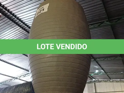 LOTE 221 - 01 – VASO PLANTA GRANDE (NO ESTADO, NÃO SABEMOS SE FUNCIONA. LEILÃO NÃO TEM GARANTIA E NEM DEVOLUÇÃO, SUJEITO A POSSÍVEIS AVARIAS VISÍVEIS/OCULTAS E/OU AUSÊNCIA DE COMPONENTES)