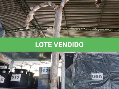 LOTE 059 - 01 - POSTE PATA ILUMINAÇÃO CURVO DUPLO (NO ESTADO, NÃO SABEMOS SE FUNCIONA. LEILÃO NÃO TEM GARANTIA E NEM DEVOLUÇÃO, SUJEITO A POSSÍVEIS AVARIAS VISÍVEIS/OCULTAS E/OU AUSÊNCIA DE COMPONENTES)01