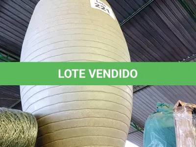LOTE 221 - 01 – VASO PLANTA GRANDE (NO ESTADO, NÃO SABEMOS SE FUNCIONA. LEILÃO NÃO TEM GARANTIA E NEM DEVOLUÇÃO, SUJEITO A POSSÍVEIS AVARIAS VISÍVEIS/OCULTAS E/OU AUSÊNCIA DE COMPONENTES)