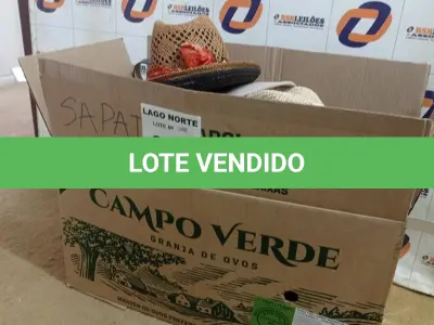 LOTE 042 - 01 CAIXA COM SAPATOS DIVERSOS E CHAPÉUS (NO ESTADO, NÃO SABEMOS SE FUNCIONA. LEILÃO NÃO TEM GARANTIA E NEM DEVOLUÇÃO).