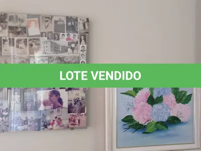 LOTE 110 - 02 QUADROS DECORATIVOS (NO ESTADO, NÃO SABEMOS SE FUNCIONA. LEILÃO NÃO TEM GARANTIA E NEM DEVOLUÇÃO).