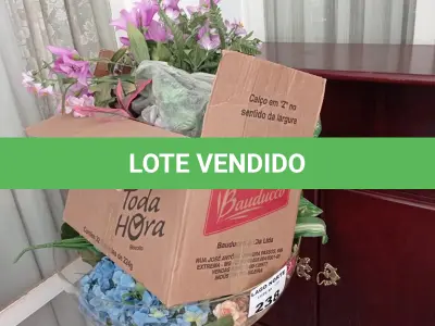 LOTE 238 - 01 TAÇA EM ACRÍLICO E PLANTAS ARTIFICIAIS PARA DECORAÇÃO (NO ESTADO, NÃO SABEMOS SE FUNCIONA. LEILÃO NÃO TEM GARANTIA E NEM DEVOLUÇÃO).