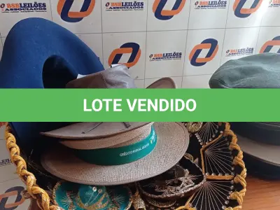 LOTE 098 - 01 LOTE COM CHAPÉUS DIVERSOS (NO ESTADO, NÃO SABEMOS SE FUNCIONA. LEILÃO NÃO TEM GARANTIA E NEM DEVOLUÇÃO).