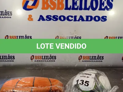 LOTE 135 - 01 BOLA DE BASQUETE E 01 BOLA DE FUTEBOL (NO ESTADO, LEILÃO NÃO TEM GARANTIA E NEM DEVOLUÇÃO, SUJEITO A POSSÍVEIS AVARIAS VISÍVEIS/OCULTAS E/OU AUSÊNCIA DE COMPONENTES).