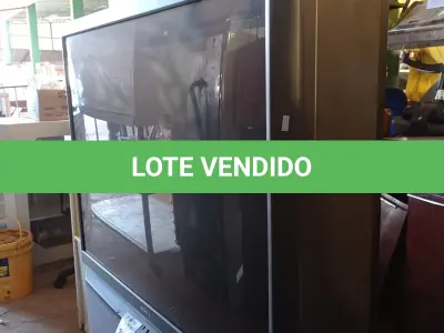 LOTE 354 - 01 TV SONY BIVOLT. (NO ESTADO, LEILÃO NÃO TEM GARANTIA E NEM DEVOLUÇÃO, SUJEITO A POSSÍVEIS AVARIAS VISÍVEIS/OCULTAS E/OU AUSÊNCIA DE COMPONENTES).