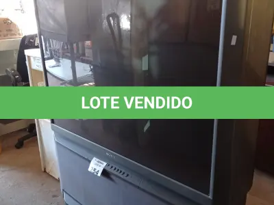LOTE 354 - 01 TV SONY BIVOLT. (NO ESTADO, LEILÃO NÃO TEM GARANTIA E NEM DEVOLUÇÃO, SUJEITO A POSSÍVEIS AVARIAS VISÍVEIS/OCULTAS E/OU AUSÊNCIA DE COMPONENTES).