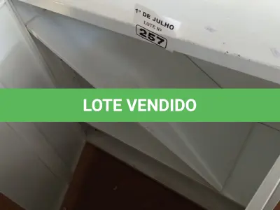 LOTE 257 - 01 ARMÁRIO DE AÇO BAIXO COM 02 PORTAS E 02 PRATELEIRAS. (NO ESTADO, LEILÃO NÃO TEM GARANTIA E NEM DEVOLUÇÃO, SUJEITO A POSSÍVEIS AVARIAS VISÍVEIS/OCULTAS E/OU AUSÊNCIA DE COMPONENTES).