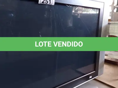 LOTE 251 - 01 TV MARCA PHILIPS 42” POL COM AVARIAS. (NO ESTADO, LEILÃO NÃO TEM GARANTIA E NEM DEVOLUÇÃO, SUJEITO A POSSÍVEIS AVARIAS VISÍVEIS/OCULTAS E/OU AUSÊNCIA DE COMPONENTES).