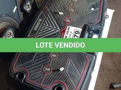 LOTE 279 - 01 PLATAFORMA DE EXERCÍCIOS GENIS FITNES. (NO ESTADO, LEILÃO NÃO TEM GARANTIA E NEM DEVOLUÇÃO, SUJEITO A POSSÍVEIS AVARIAS VISÍVEIS/OCULTAS E/OU AUSÊNCIA DE COMPONENTES).