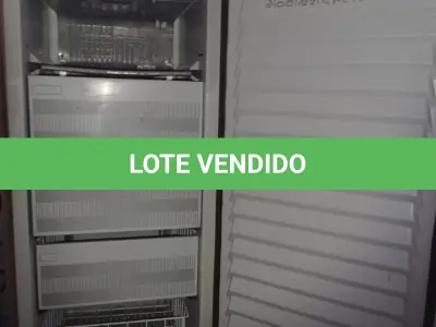 LOTE 441 - 01 FREEZER MARCA PROSDÓCIMO 220V. (NO ESTADO, LEILÃO NÃO TEM GARANTIA E NEM DEVOLUÇÃO, SUJEITO A POSSÍVEIS AVARIAS VISÍVEIS/OCULTAS E/OU AUSÊNCIA DE COMPONENTES).