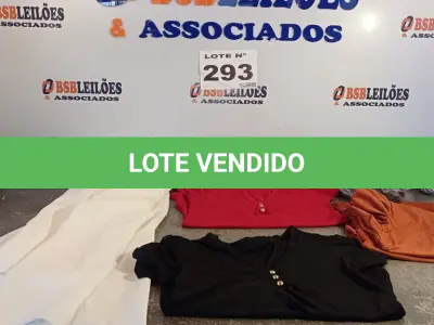 LOTE 293 - 06 – PEÇAS DE ROUPAS FEMININAS (NO ESTADO, NÃO SABEMOS SE FUNCIONA. LEILÃO NÃO TEM GARANTIA E NEM DEVOLUÇÃO, SUJEITO A POSSÍVEIS AVARIAS VISÍVEIS/OCULTAS E/OU AUSÊNCIA DE COMPONENTES)