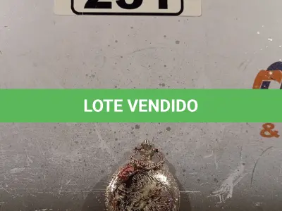 LOTE 231 - 01 RELÓGIO DE BOLSO. (NO ESTADO, LEILÃO NÃO TEM GARANTIA E NEM DEVOLUÇÃO, SUJEITO A POSSÍVEIS AVARIAS VISÍVEIS/OCULTAS E/OU AUSÊNCIA DE COMPONENTES).