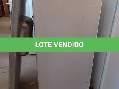 LOTE 137 - 01 FREEZER VERTICAL MARCA PROSDÓCIMO 220V. (NO ESTADO, LEILÃO NÃO TEM GARANTIA E NEM DEVOLUÇÃO, SUJEITO A POSSÍVEIS AVARIAS VISÍVEIS/OCULTAS E/OU AUSÊNCIA DE COMPONENTES).