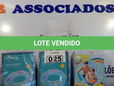 LOTE 025 - 03 BOIAS INFANTIS. (NO ESTADO, LEILÃO NÃO TEM GARANTIA E NEM DEVOLUÇÃO, SUJEITO A POSSÍVEIS AVARIAS VISÍVEIS/OCULTAS E/OU AUSÊNCIA DE COMPONENTES).