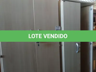LOTE 413 - 01 ARMÁRIO EM MADEIRA COM 02 PORTAS E 03 PRATELEIRAS E 01 ARMÁRIO COM AVARIAS. (NO ESTADO, LEILÃO NÃO TEM GARANTIA E NEM DEVOLUÇÃO, SUJEITO A POSSÍVEIS AVARIAS VISÍVEIS/OCULTAS E/OU AUSÊNCIA DE COMPONENTES).