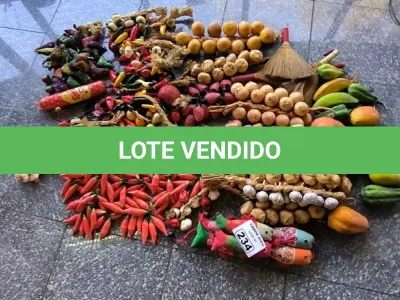 LOTE 234 - VERDURAS E LEGUMES DECORATIVOS, BALCÃO DE MADEIRA E RODINHAS. (NO ESTADO, NÃO SABEMOS SE FUNCIONA. LEILÃO NÃO TEM GARANTIA E NEM DEVOLUÇÃO).