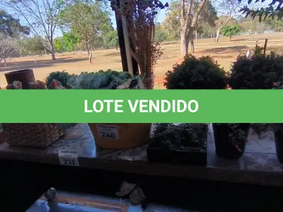 LOTE 240 - VASOS, FLOREIRAS E FLORES ARTIFICIAIS. (NO ESTADO, NÃO SABEMOS SE FUNCIONA. LEILÃO NÃO TEM GARANTIA E NEM DEVOLUÇÃO).