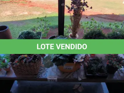 LOTE 240 - VASOS, FLOREIRAS E FLORES ARTIFICIAIS. (NO ESTADO, NÃO SABEMOS SE FUNCIONA. LEILÃO NÃO TEM GARANTIA E NEM DEVOLUÇÃO).