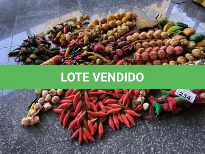 LOTE 234 - VERDURAS E LEGUMES DECORATIVOS, BALCÃO DE MADEIRA E RODINHAS. (NO ESTADO, NÃO SABEMOS SE FUNCIONA. LEILÃO NÃO TEM GARANTIA E NEM DEVOLUÇÃO).