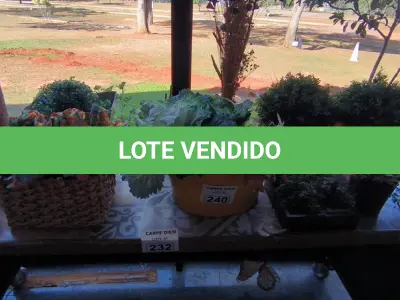 LOTE 240 - VASOS, FLOREIRAS E FLORES ARTIFICIAIS. (NO ESTADO, NÃO SABEMOS SE FUNCIONA. LEILÃO NÃO TEM GARANTIA E NEM DEVOLUÇÃO).