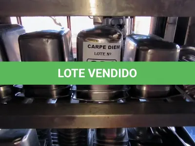 LOTE 284 - CUBAS GN GASTRONORME ¼ FUNDAS COM TAMPA. (NO ESTADO, NÃO SABEMOS SE FUNCIONA. LEILÃO NÃO TEM GARANTIA E NEM DEVOLUÇÃO).