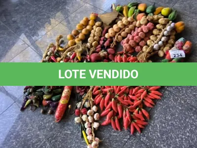 LOTE 234 - VERDURAS E LEGUMES DECORATIVOS, BALCÃO DE MADEIRA E RODINHAS. (NO ESTADO, NÃO SABEMOS SE FUNCIONA. LEILÃO NÃO TEM GARANTIA E NEM DEVOLUÇÃO).