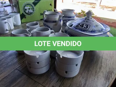 LOTE 243 - BULES, CINZEIROS E SOPEIRAS DE LOUÇA. (NO ESTADO, NÃO SABEMOS SE FUNCIONA. LEILÃO NÃO TEM GARANTIA E NEM DEVOLUÇÃO).