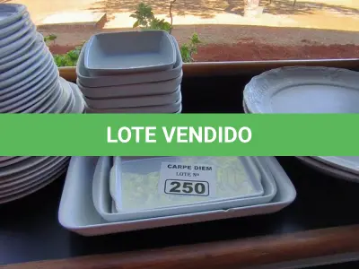 LOTE 250 - TRAVESSAS DE LOUÇA PARA SERVIR DIVERSOS TAMANHOS (LASANHA E OVAL) (NO ESTADO, NÃO SABEMOS SE FUNCIONA. LEILÃO NÃO TEM GARANTIA E NEM DEVOLUÇÃO).