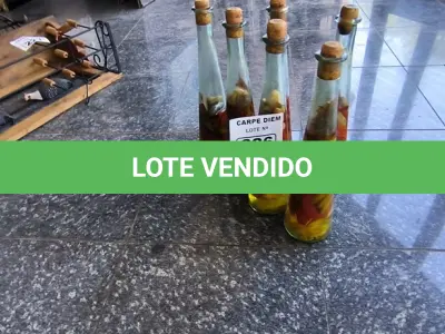 LOTE 226 - GARRAFAS PARA PIMENTA. (NO ESTADO, NÃO SABEMOS SE FUNCIONA. LEILÃO NÃO TEM GARANTIA E NEM DEVOLUÇÃO).
