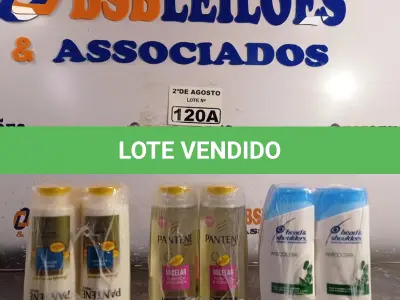 LOTE 120 - 06 FRASCOS DE SHAMPOO PANTENE PRO-V MICELAR PURIFICA E HIDRATA 200ML, 06 FRASCOS DE CONDICIONADOR PANTENE PRO-V BRILHO EXTREMO 175ML E 06 FRASCOS DE SHAMPOO HEAD&SHOUDERS ANTICOCEIRA 200ML. (NO ESTADO) ATENÇÃO! FAZER A VISITAÇÃO ANTES DE ARREMATAR, NÃO SABEMOS SE FUNCIONA. LEILÃO NÃO TEM GARANTIA E NEM DEVOLUÇÃO, SUJEITO A POSSÍVEIS AVARIAS VISÍVEIS/OCULTAS E/OU AUSÊNCIA DE COMPONENTES.