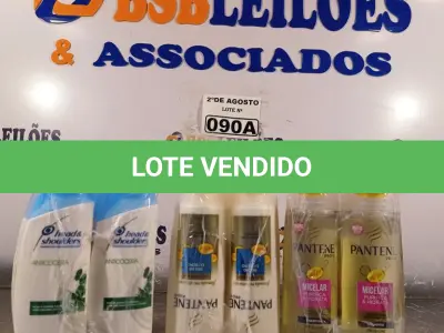 LOTE 090 - 06 FRASCOS DE SHAMPOO PANTENE PRO-V MICELAR PURIFICA E HIDRATA 200ML, 06 FRASCOS DE CONDICIONADOR PANTENE PRO-V BRILHO EXTREMO 175ML E 06 FRASCOS DE SHAMPOO HEAD&SHOUDERS ANTICOCEIRA 200ML. (NO ESTADO) ATENÇÃO! FAZER A VISITAÇÃO ANTES DE ARREMATAR, NÃO SABEMOS SE FUNCIONA. LEILÃO NÃO TEM GARANTIA E NEM DEVOLUÇÃO, SUJEITO A POSSÍVEIS AVARIAS VISÍVEIS/OCULTAS E/OU AUSÊNCIA DE COMPONENTES.