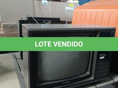 LOTE 510 - 02 TVS DE TUBO. (NO ESTADO) ATENÇÃO! FAZER A VISITAÇÃO ANTES DE ARREMATAR, NÃO SABEMOS SE FUNCIONA. LEILÃO NÃO TEM GARANTIA E NEM DEVOLUÇÃO, SUJEITO A POSSÍVEIS AVARIAS VISÍVEIS/OCULTAS E/OU AUSÊNCIA DE COMPONENTES.