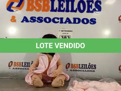 LOTE 383 - 01 BONECA BEBE REBORN. (NO ESTADO) ATENÇÃO! FAZER A VISITAÇÃO ANTES DE ARREMATAR, NÃO SABEMOS SE FUNCIONA. LEILÃO NÃO TEM GARANTIA E NEM DEVOLUÇÃO, SUJEITO A POSSÍVEIS AVARIAS VISÍVEIS/OCULTAS E/OU AUSÊNCIA DE COMPONENTES.