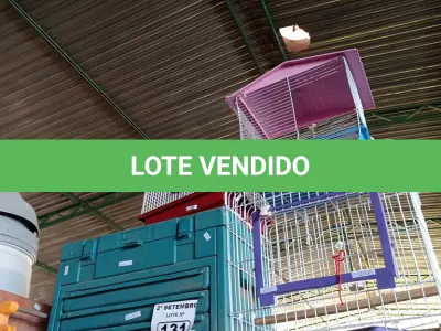 LOTE 131 - 01 RISCADOR PARA PISOS, 01 MALETA PARA FERRAMENTAS “VAZIA” E 03 GAIOLAS PARA HAMSTER MODELOS DIVERSOS.  (NO ESTADO) ATENÇÃO! FAZER A VISITAÇÃO ANTES DE ARREMATAR, NÃO SABEMOS SE FUNCIONA. LEILÃO NÃO TEM GARANTIA E NEM DEVOLUÇÃO, SUJEITO A POSSÍVEIS AVARIAS VISÍVEIS/OCULTAS E/OU AUSÊNCIA DE COMPONENTES.